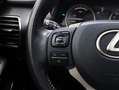 Lexus NX 300h AWD President Limited | Panoramadak | Stoelventila Grau - thumbnail 20