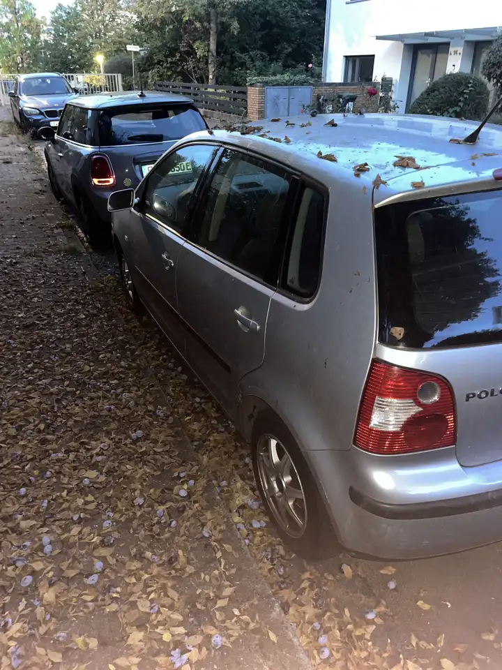 Volkswagen Polo Highline, foto 6