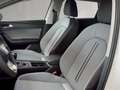SEAT Leon Style Edition 1.5TSI 115PS Weiß - thumbnail 8