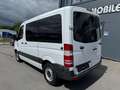 Mercedes-Benz Sprinter II 316 CDI Weiß - thumbnail 3