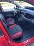 Fiat Panda 1.2 Easy 69cv 5 porte € 6 B - thumbnail 12