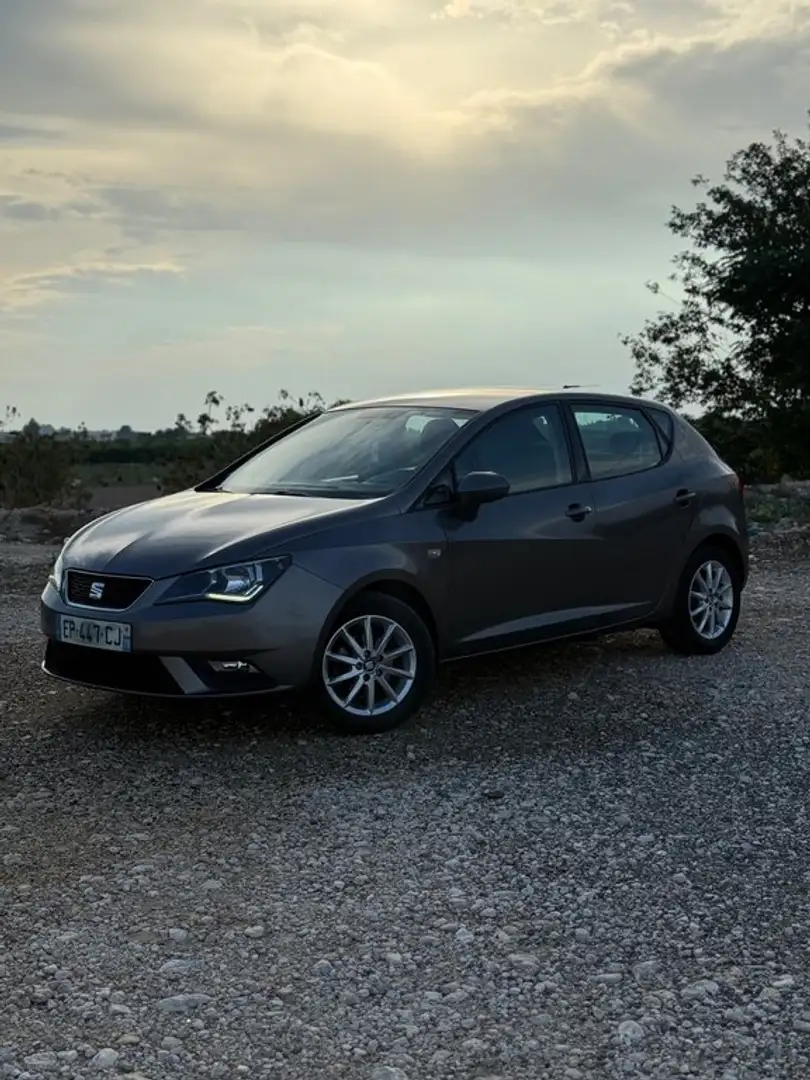 SEAT Ibiza 1.0 S&S Full Connect 75 Gris - 2