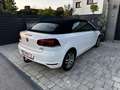 Volkswagen Golf Cabriolet Cabrio BMT 1,6 TDI DPF - thumbnail 9