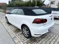 Volkswagen Golf Cabriolet Cabrio BMT 1,6 TDI DPF - thumbnail 3
