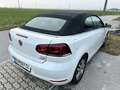 Volkswagen Golf Cabriolet Cabrio BMT 1,6 TDI DPF - thumbnail 5