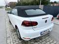 Volkswagen Golf Cabriolet Cabrio BMT 1,6 TDI DPF - thumbnail 4