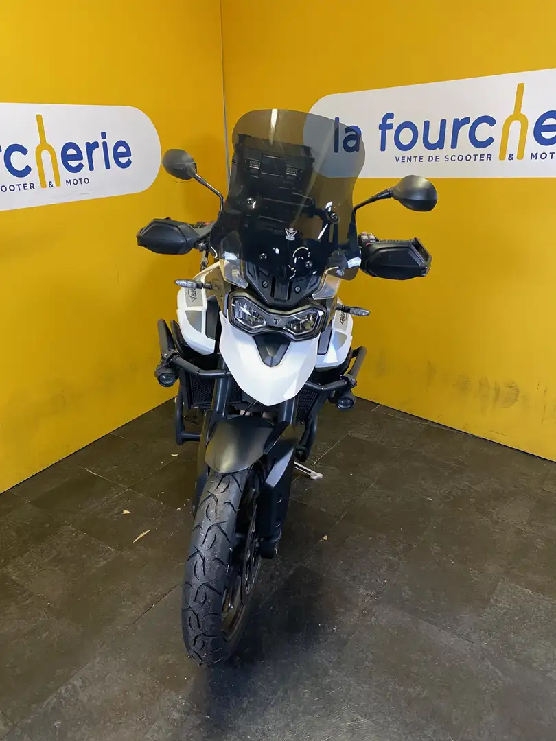 Triumph Tiger 900 Alb - 2
