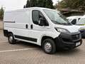 Fiat Ducato Kasten 30 120 L1H1*1-HAND*WENIG KM* Weiß - thumbnail 2