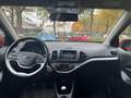 Kia Picanto 1.0 CVVT First Edition | WORDT VERWACHT | EERSTE E Rood - thumbnail 3
