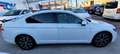 Volkswagen Passat 1.6TDI Executive DSG7 Blanc - thumbnail 7