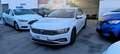 Volkswagen Passat 1.6TDI Executive DSG7 Blanc - thumbnail 3
