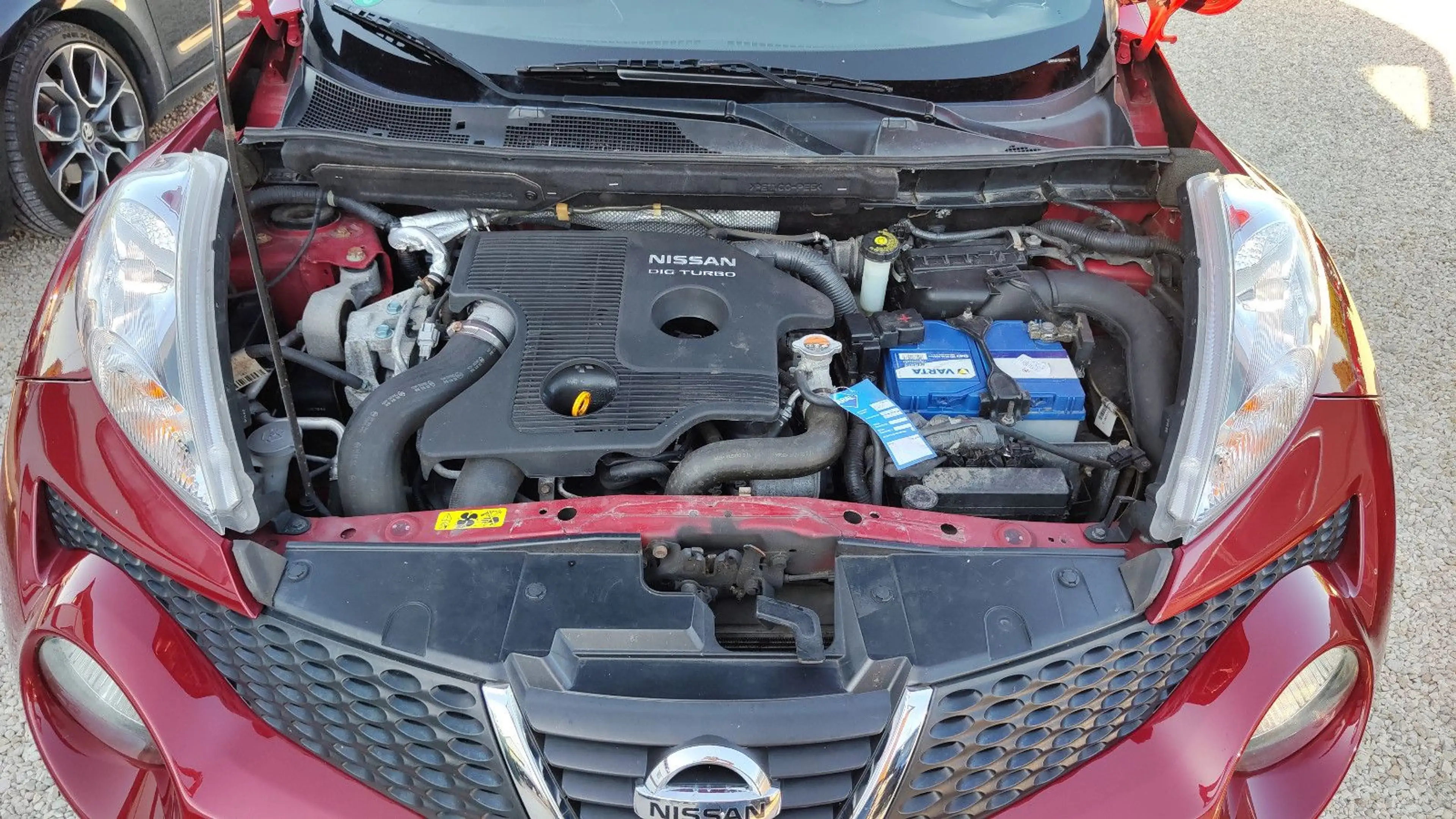 Nissan Juke 1.6 Turbo Shiro LED* Navi* Leder* TOP* — photo 13