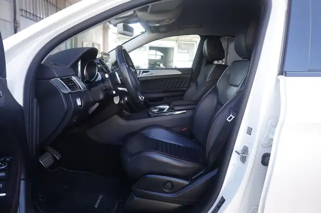 Mercedes-Benz Gle view 18