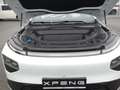 Xpeng G9 New G9 AWD Performance Weiß - thumbnail 19