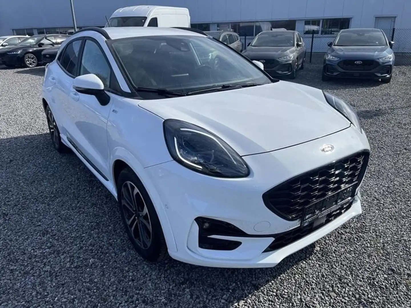 Ford Puma St line 1.0i 125pk MHEV (250069) Blanc - 2