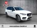 Volvo XC90 R Design AWD PRIVATVERKAUF Hr. Reisinger Weiß - thumbnail 6