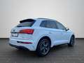 Audi Q5 S line 50 TFSI e OPTIK MATRIX STANDKLIMA Weiß - thumbnail 3