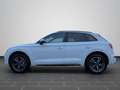 Audi Q5 TFSI e S line 50 TFSI e quattro 220(299) kW(P Weiß - thumbnail 8