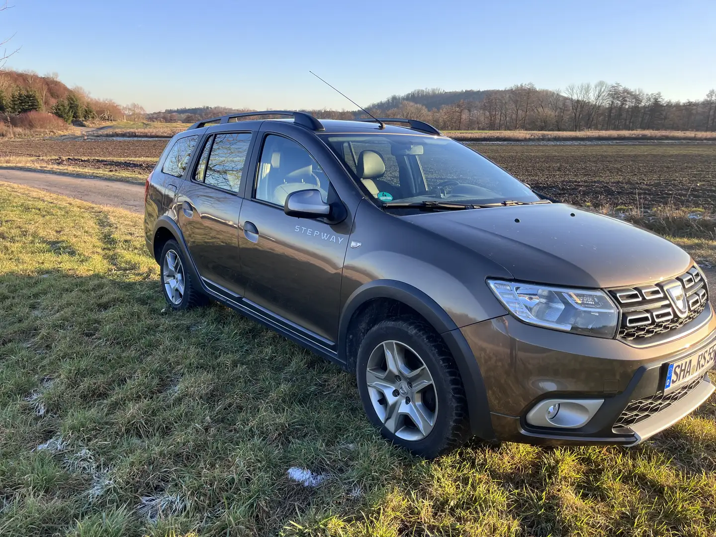 Dacia Logan MCV Stepway Braun - 2