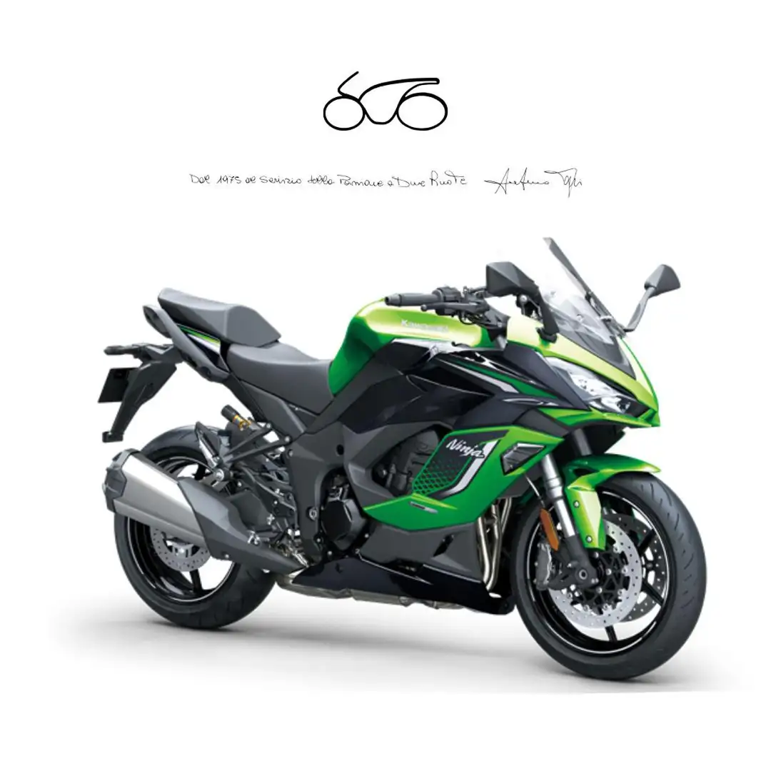 Kawasaki Ninja 1100SX SE . Verde - 1