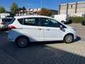 Ford B-Max 1.0 EcoBoost Ambiente airco Wit - thumbnail 7
