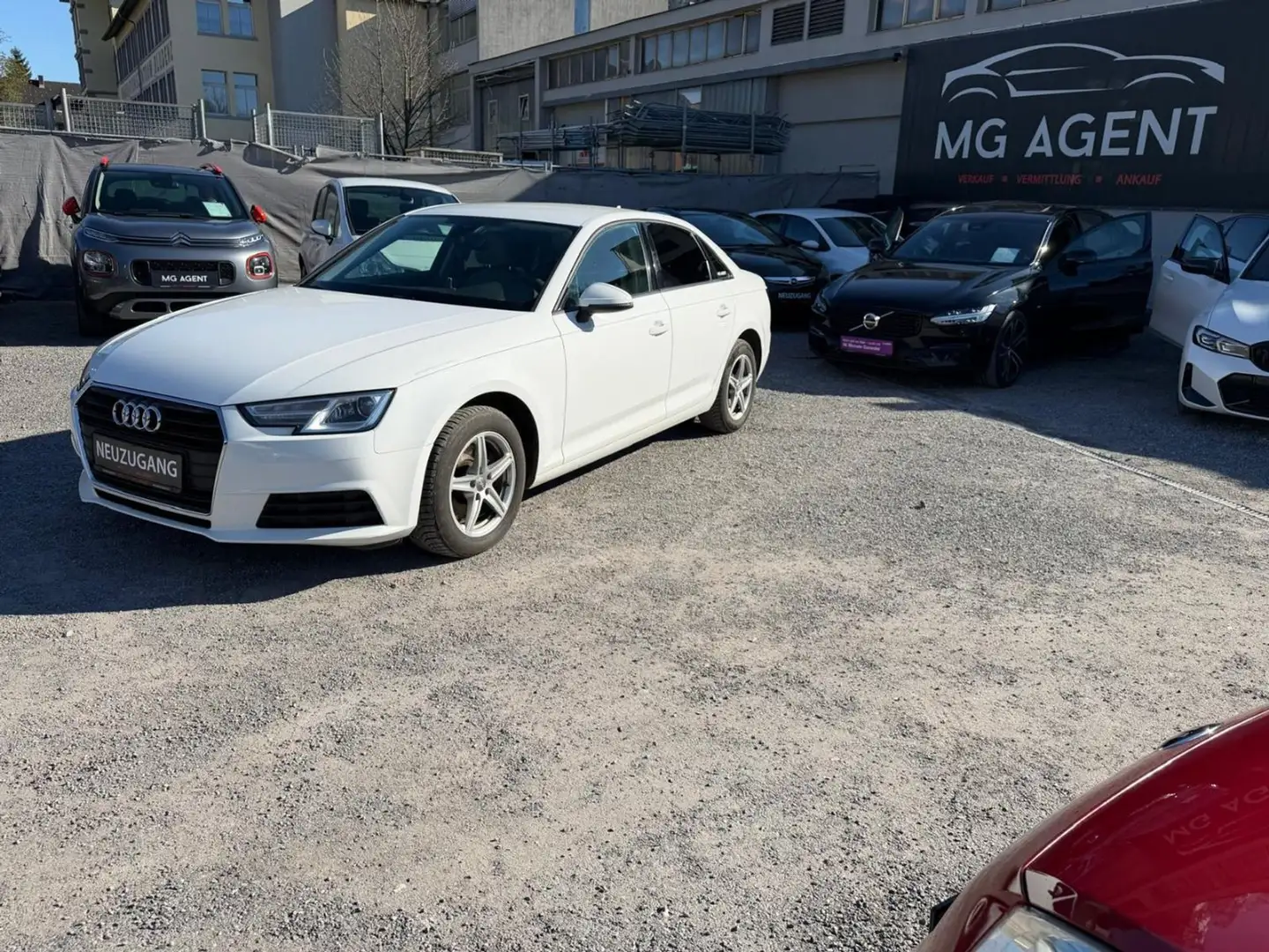 Audi A4 2.0 TDI basis Weiß - 2