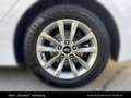 Hyundai i40 Premium 1,7 CRDi DCT Weiß - thumbnail 12