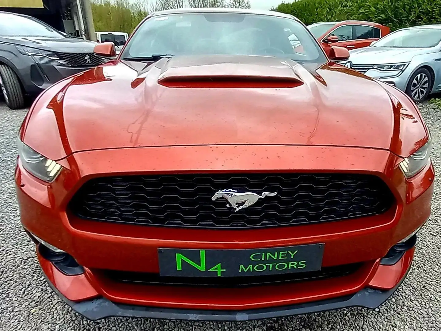 Ford Mustang 2.3 EcoBoost Rood - 2