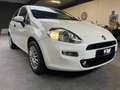 Fiat Punto Evo 1.2 Street 5 deurs airco Car pas N.A.P. APK Blanco - thumbnail 13