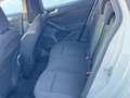 Ford Focus 1.0 Ecoboost MHEV Active 125 Aut. Blanco - thumbnail 8