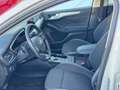 Ford Focus 1.0 Ecoboost MHEV Active 125 Aut. Blanco - thumbnail 7