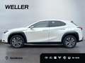 Lexus UX 300e *SmartKey*CarPlay*Klimaaut*SHZ*Bi-LED* Alb - thumbnail 4