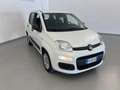 Fiat Panda 0.9 TwinAir Turbo S&S Easy CAMBIO AUTOMATICO Bianco - thumbnail 5
