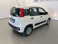 Fiat Panda 0.9 TwinAir Turbo S&S Easy CAMBIO AUTOMATICO Bianco - thumbnail 8