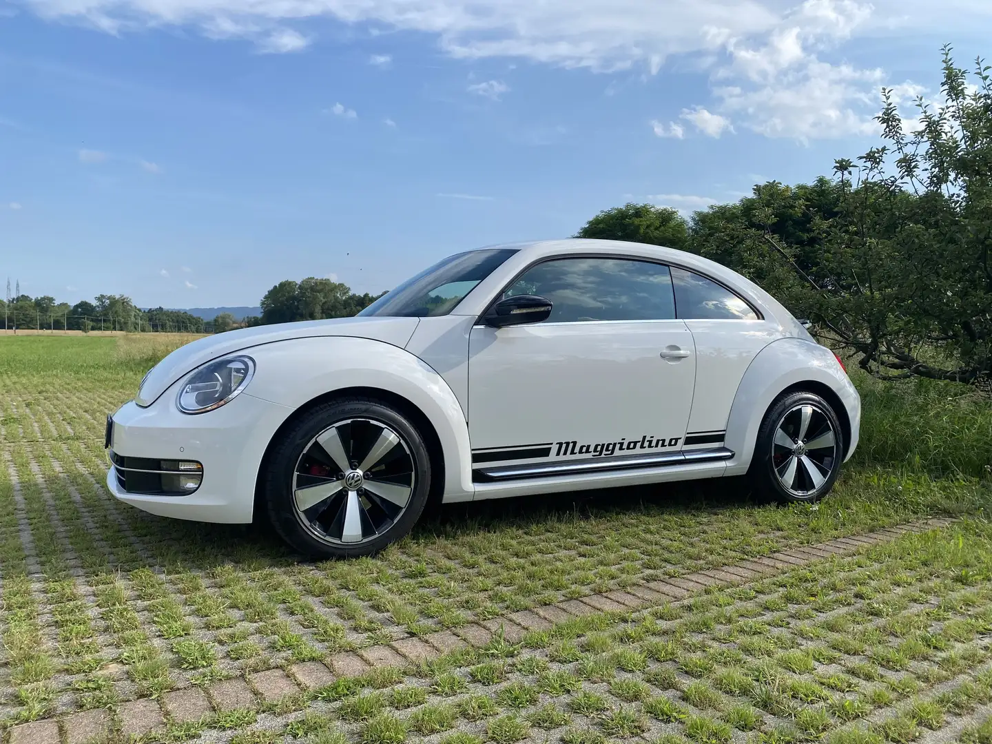 Volkswagen Maggiolino 2.0 tsi Sport dsg - 1
