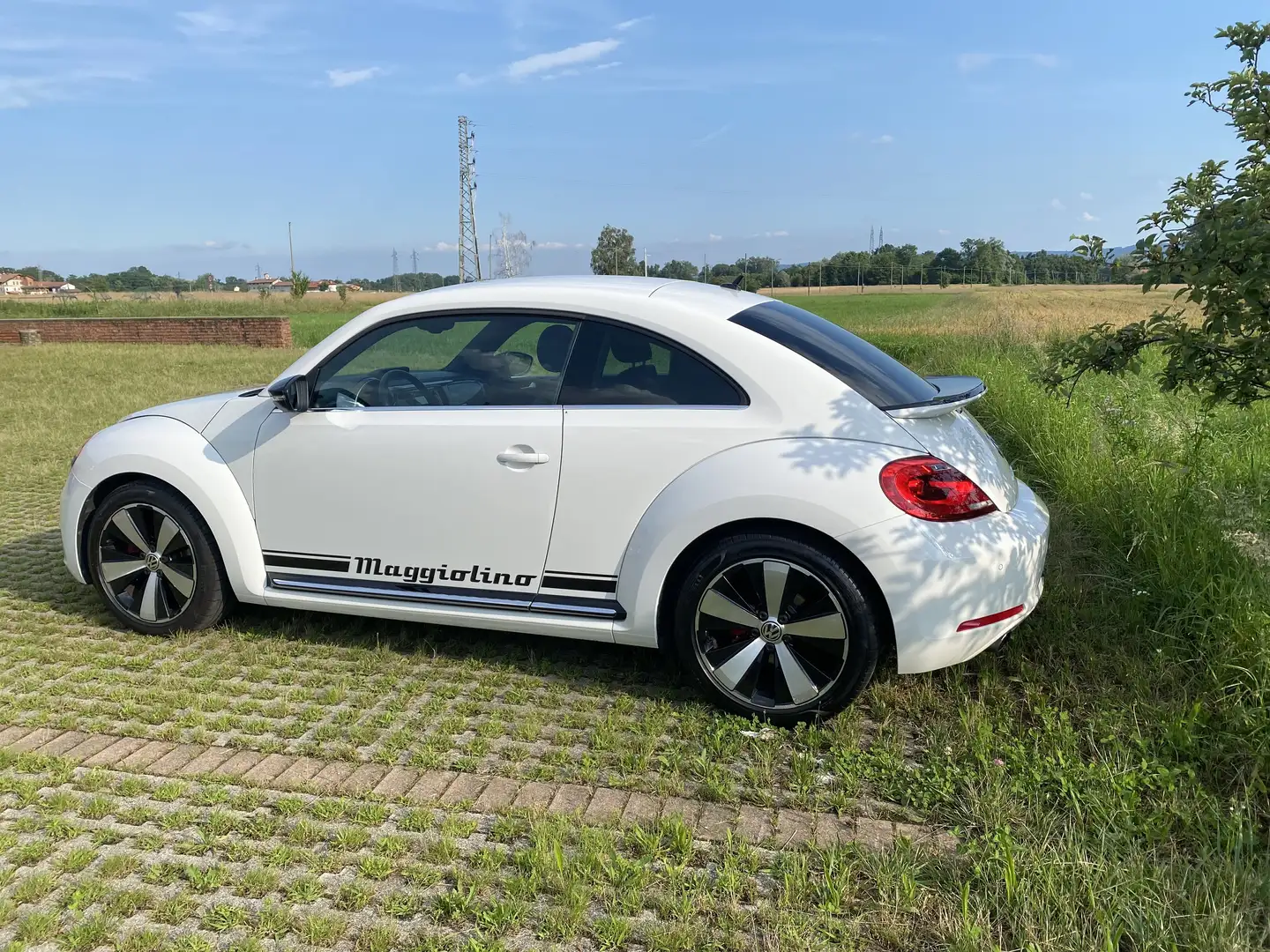 Volkswagen Maggiolino 2.0 tsi Sport dsg - 2