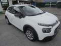 Citroen C3 C3 1.5 bluehdi VAN AUTOCARRO 4 POSTI Wit - thumbnail 15