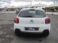 Citroen C3 C3 1.5 bluehdi VAN AUTOCARRO 4 POSTI Wit - thumbnail 12