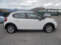 Citroen C3 C3 1.5 bluehdi VAN AUTOCARRO 4 POSTI Wit - thumbnail 14