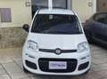 Fiat Panda 1.3 mjt 16v Easy 95cv S&S my19 Auto Aziendale Bianco - thumbnail 5