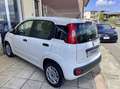Fiat Panda 1.3 mjt 16v Easy 95cv S&S my19 Auto Aziendale Bianco - thumbnail 8