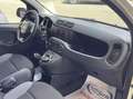 Fiat Panda 1.3 mjt 16v Easy 95cv S&S my19 Auto Aziendale Bianco - thumbnail 15