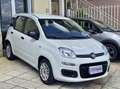 Fiat Panda 1.3 mjt 16v Easy 95cv S&S my19 Auto Aziendale Bianco - thumbnail 2