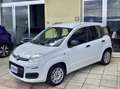 Fiat Panda 1.3 mjt 16v Easy 95cv S&S my19 Auto Aziendale Bianco - thumbnail 3