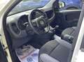 Fiat Panda 1.3 mjt 16v Easy 95cv S&S my19 Auto Aziendale Bianco - thumbnail 11