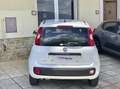 Fiat Panda 1.3 mjt 16v Easy 95cv S&S my19 Auto Aziendale Bianco - thumbnail 7