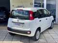 Fiat Panda 1.3 mjt 16v Easy 95cv S&S my19 Auto Aziendale Bianco - thumbnail 6