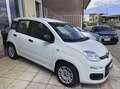 Fiat Panda 1.3 mjt 16v Easy 95cv S&S my19 Auto Aziendale Bianco - thumbnail 4