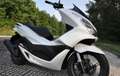 Honda PCX 125 Blanco - thumbnail 3