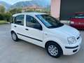 Fiat Panda Panda 1.2 Dynamic Class eco Blanco - thumbnail 9